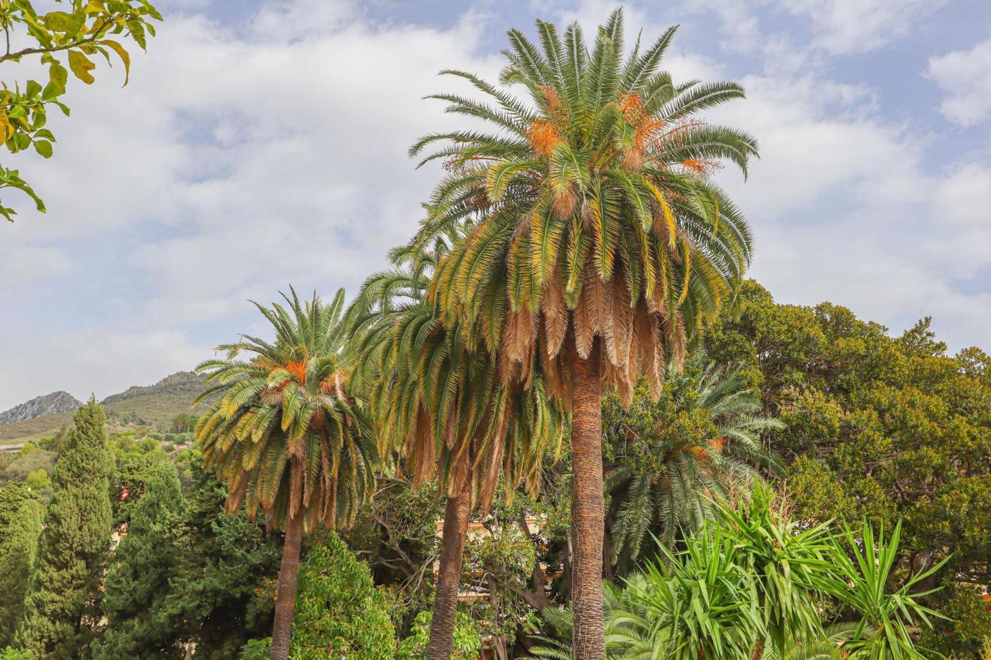 "Le Garavan Palace" Idyllique, Proche Gare Et Plage Menton Exteriör bild